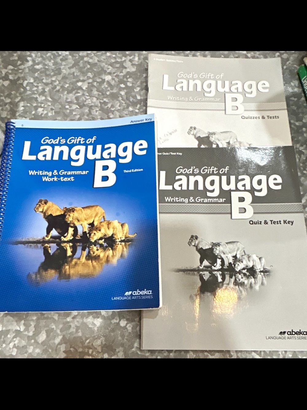 Abeka Language B Writing & Grammar Student Worktext in Blue